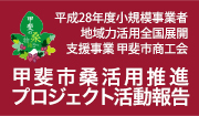 平成28年度小規模事業者地域力活用全国展開支援事業甲斐市商工会