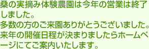 桑の実摘み体験農園は今年の営業は終了しました。多数の方のご来園ありがとうございました。来年の開催日程が決まりましたらホームページにてご案内します。