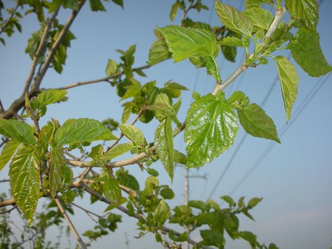 2008/05/02の写真