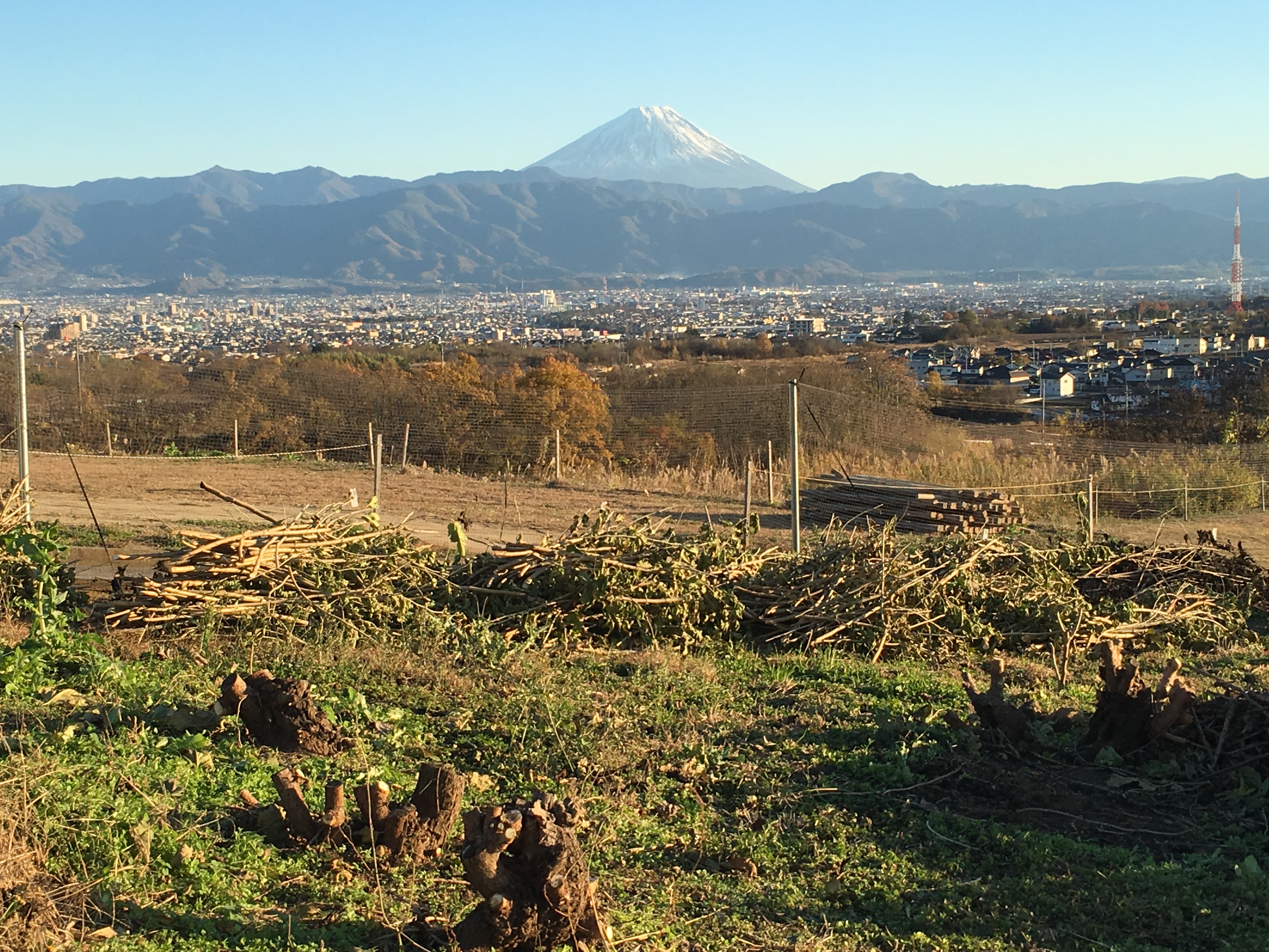 2015/12/07の写真