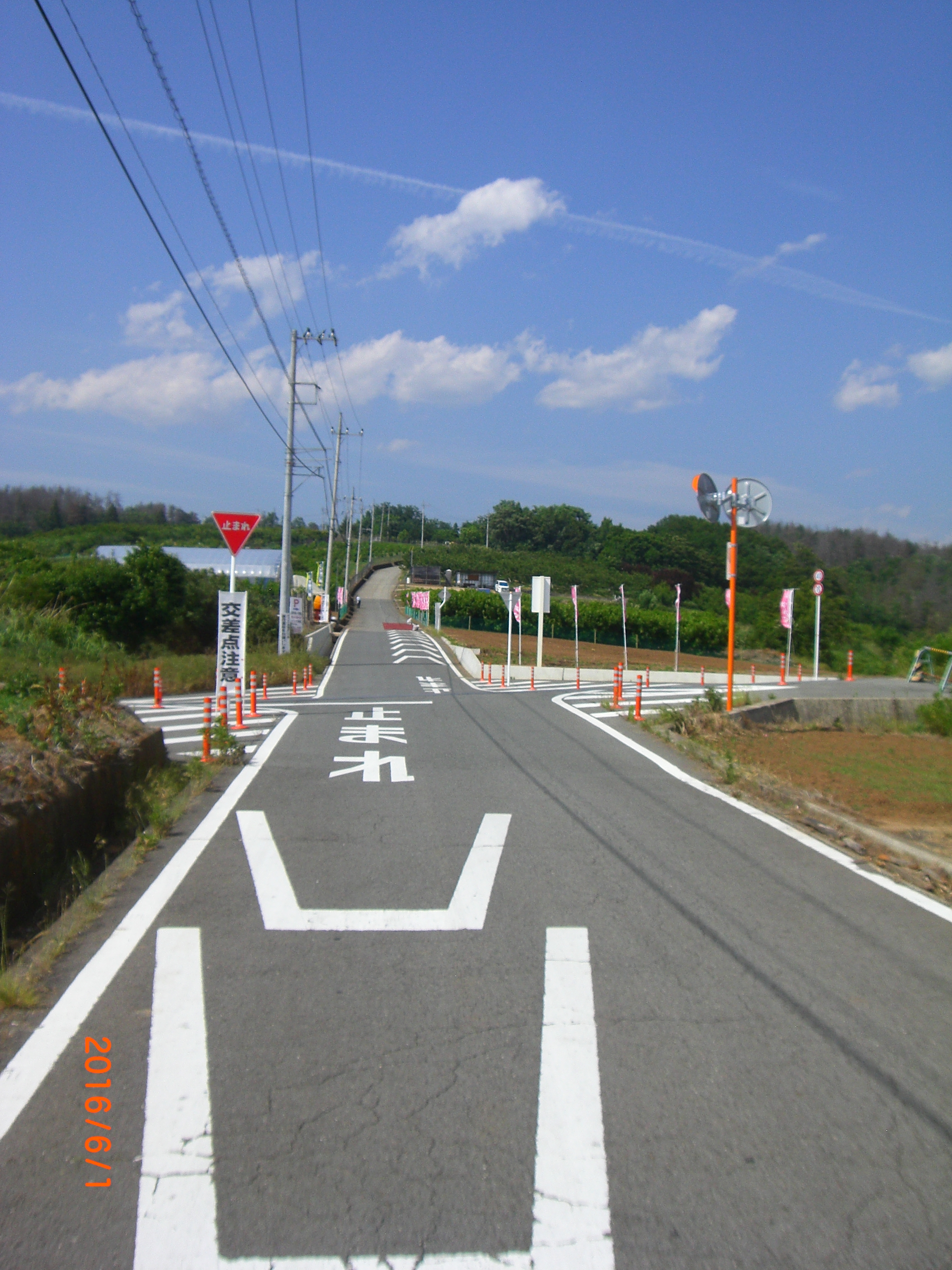 2016/06/06の写真