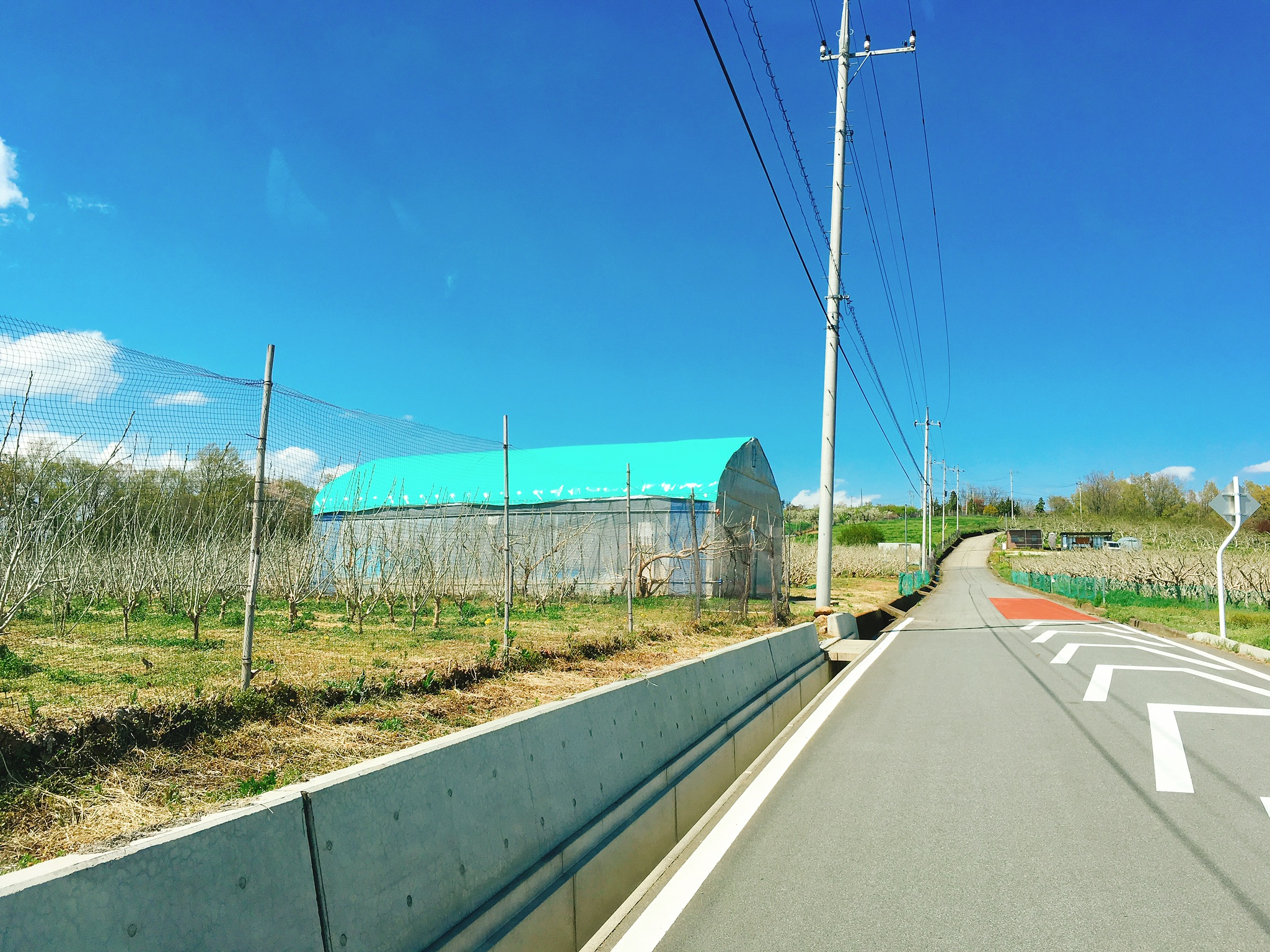 2017/04/19の写真