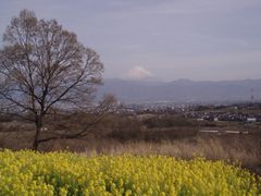 2009.04.03の写真