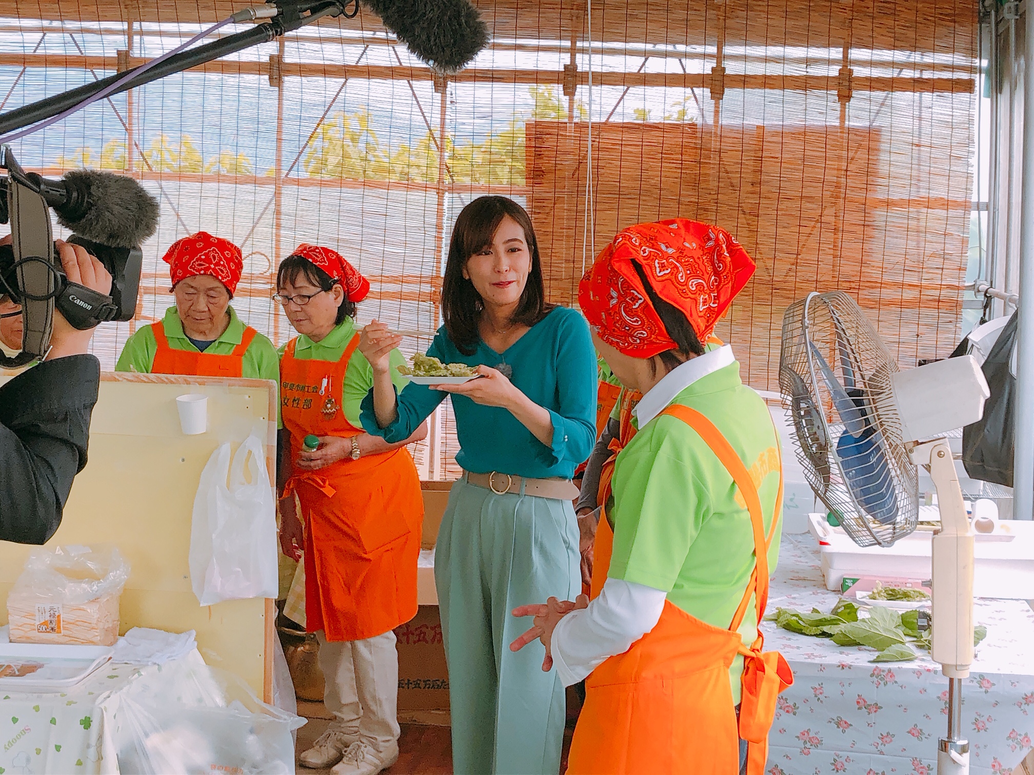 2019/06/06の写真