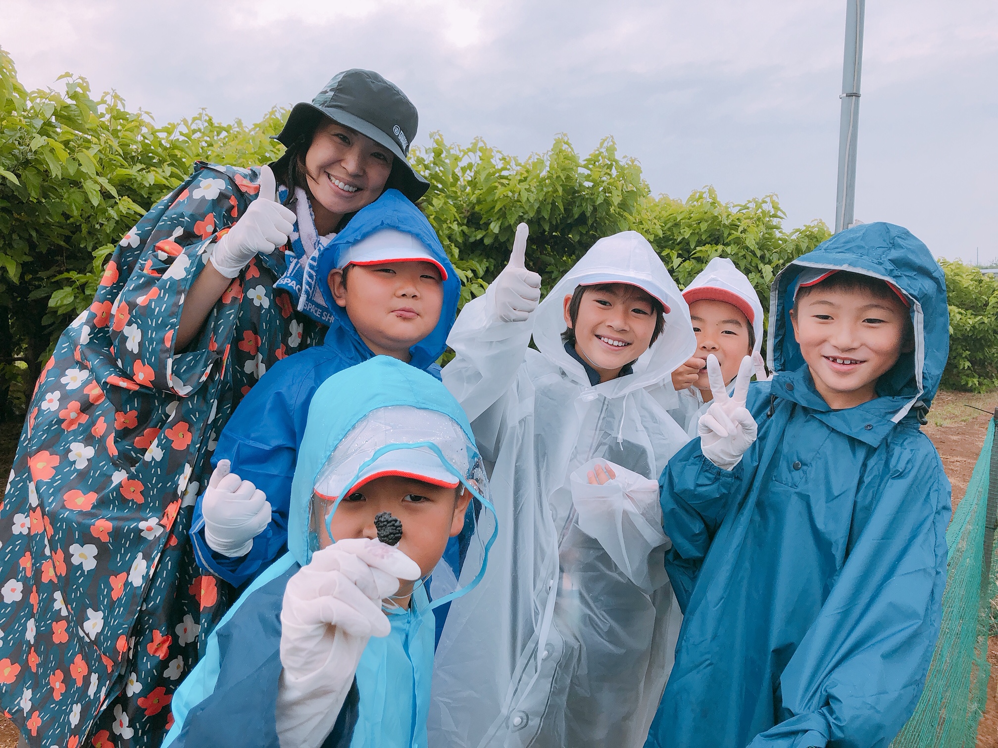 2019/06/11の写真