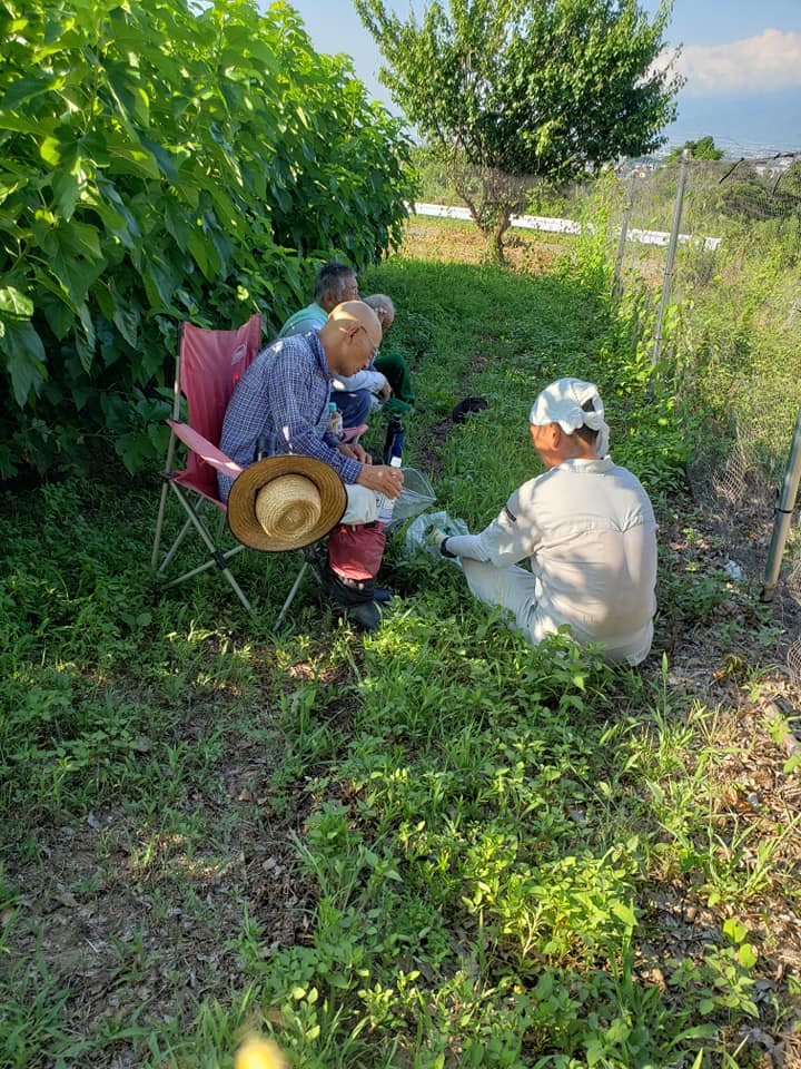 2019/08/15の写真