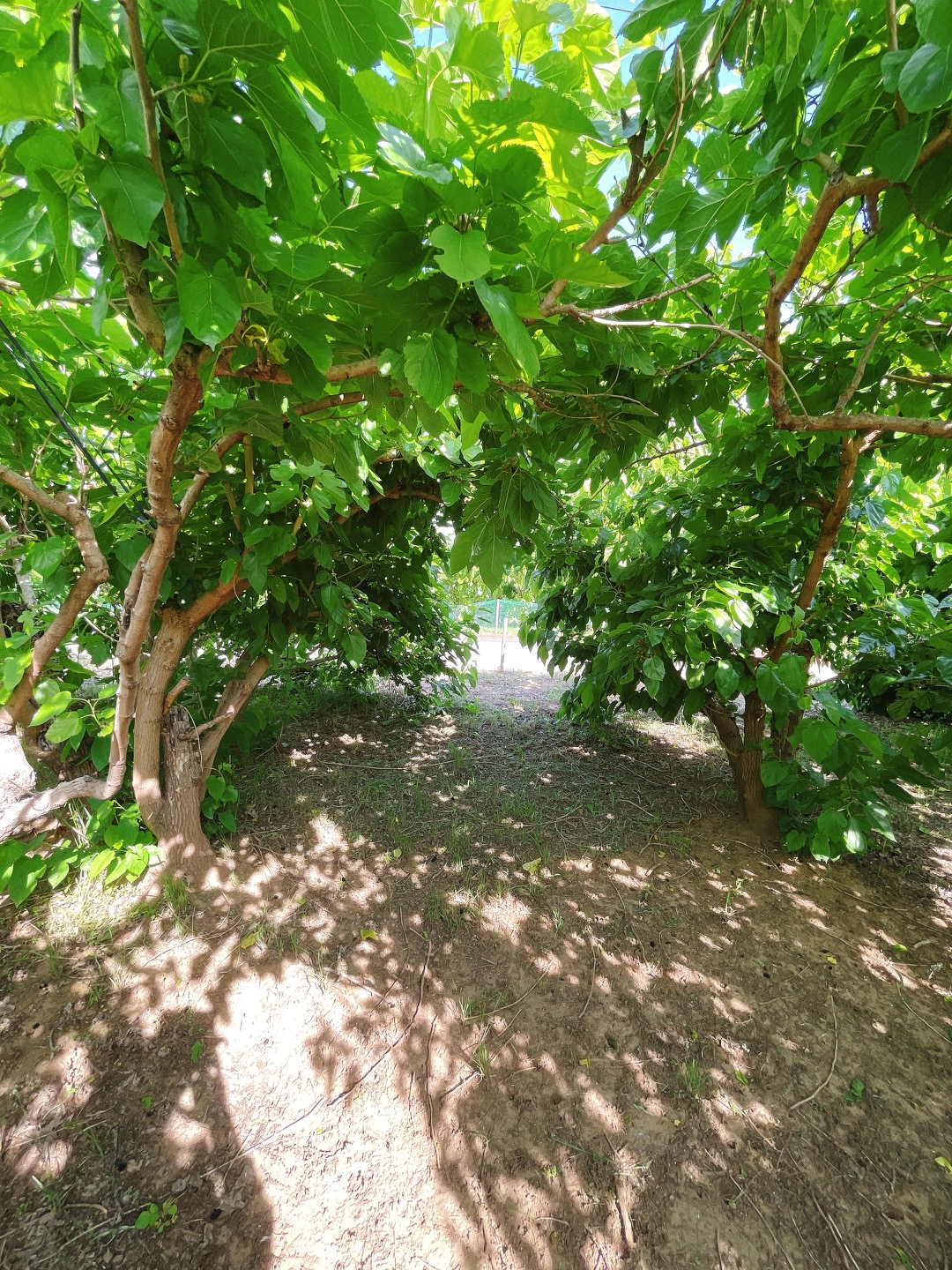 2021/05/28の写真