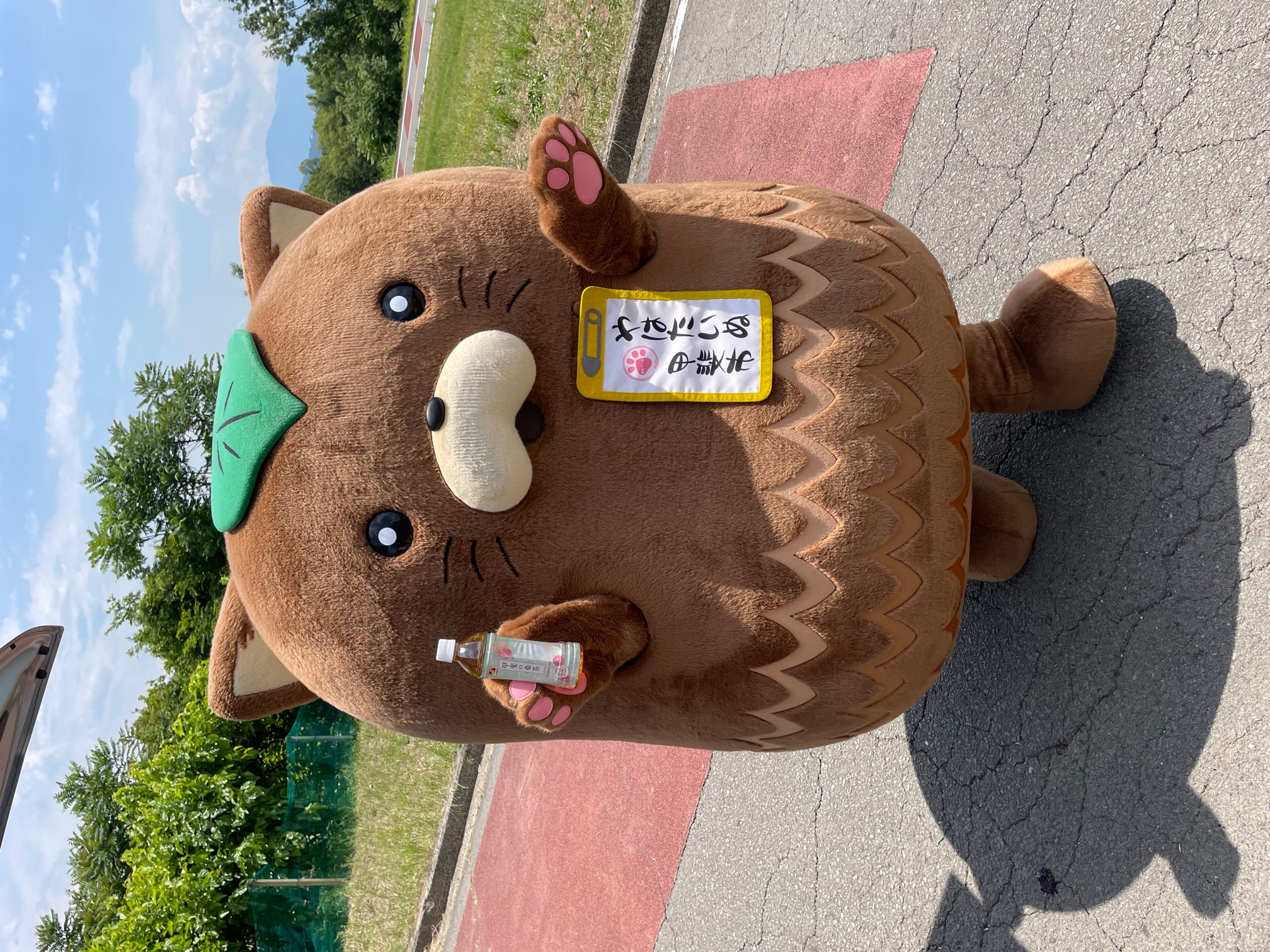 2022/06/02の写真