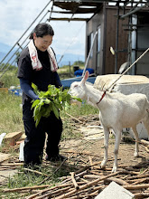 2024/06/12の写真