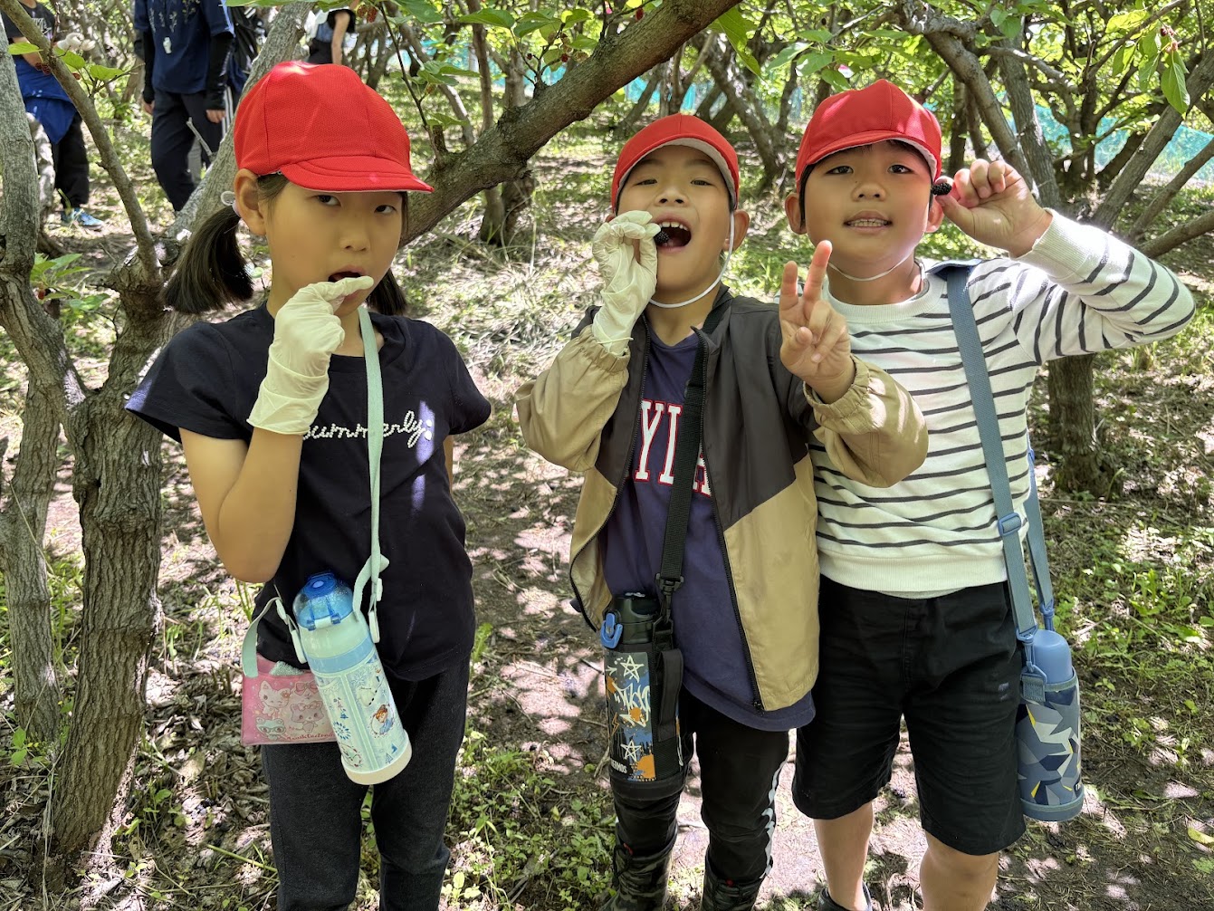 2025.06.05の写真