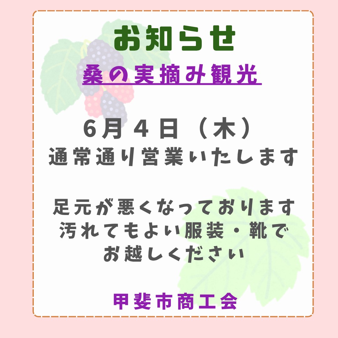 2026/06/03の写真
