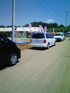 2009/06/07の写真
