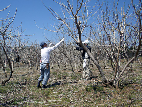2011/04/06の写真
