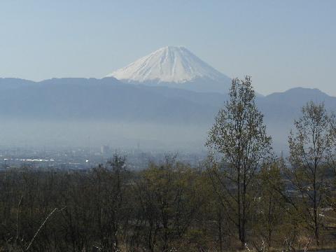 2011/04/20の写真