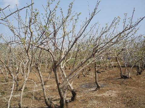 2011/04/27の写真