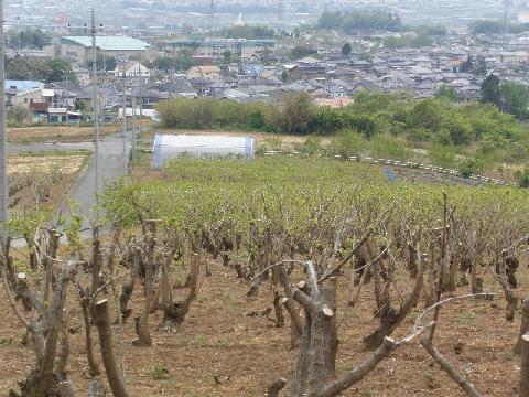 2011/05/07の写真