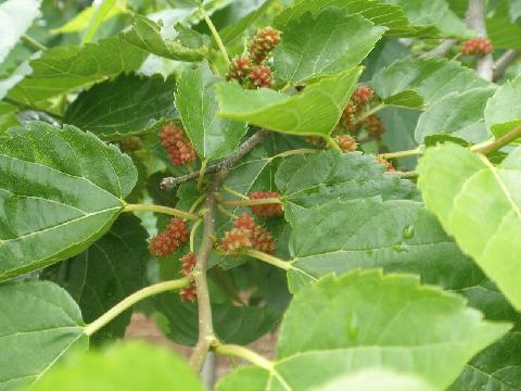 2011/05/27の写真