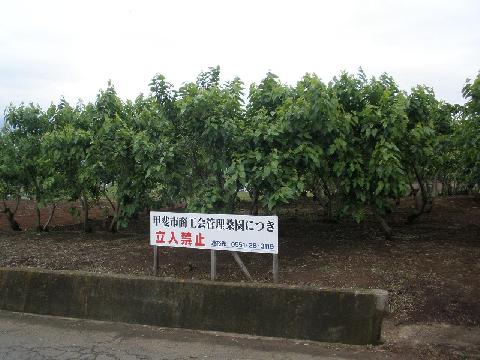 2011/05/27の写真