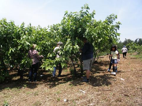 2011/06/04の写真