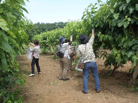 2011/06/07の写真