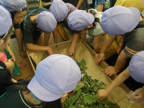 2011/06/08の写真