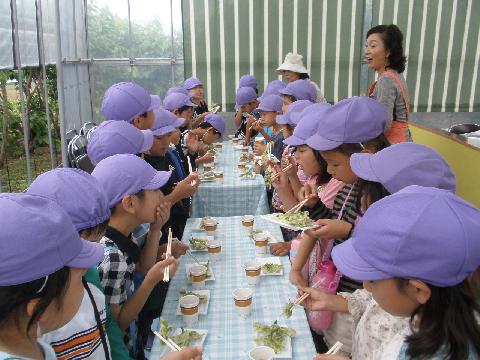 2011/06/08の写真