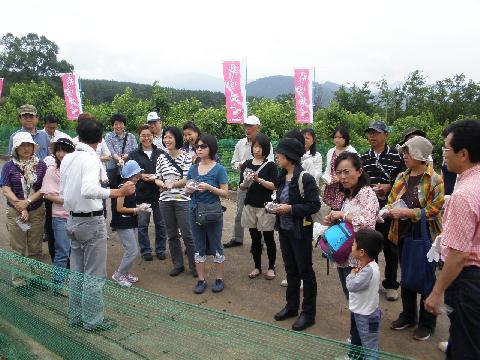 2011/06/12の写真