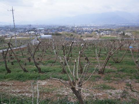 2012/04/21の写真