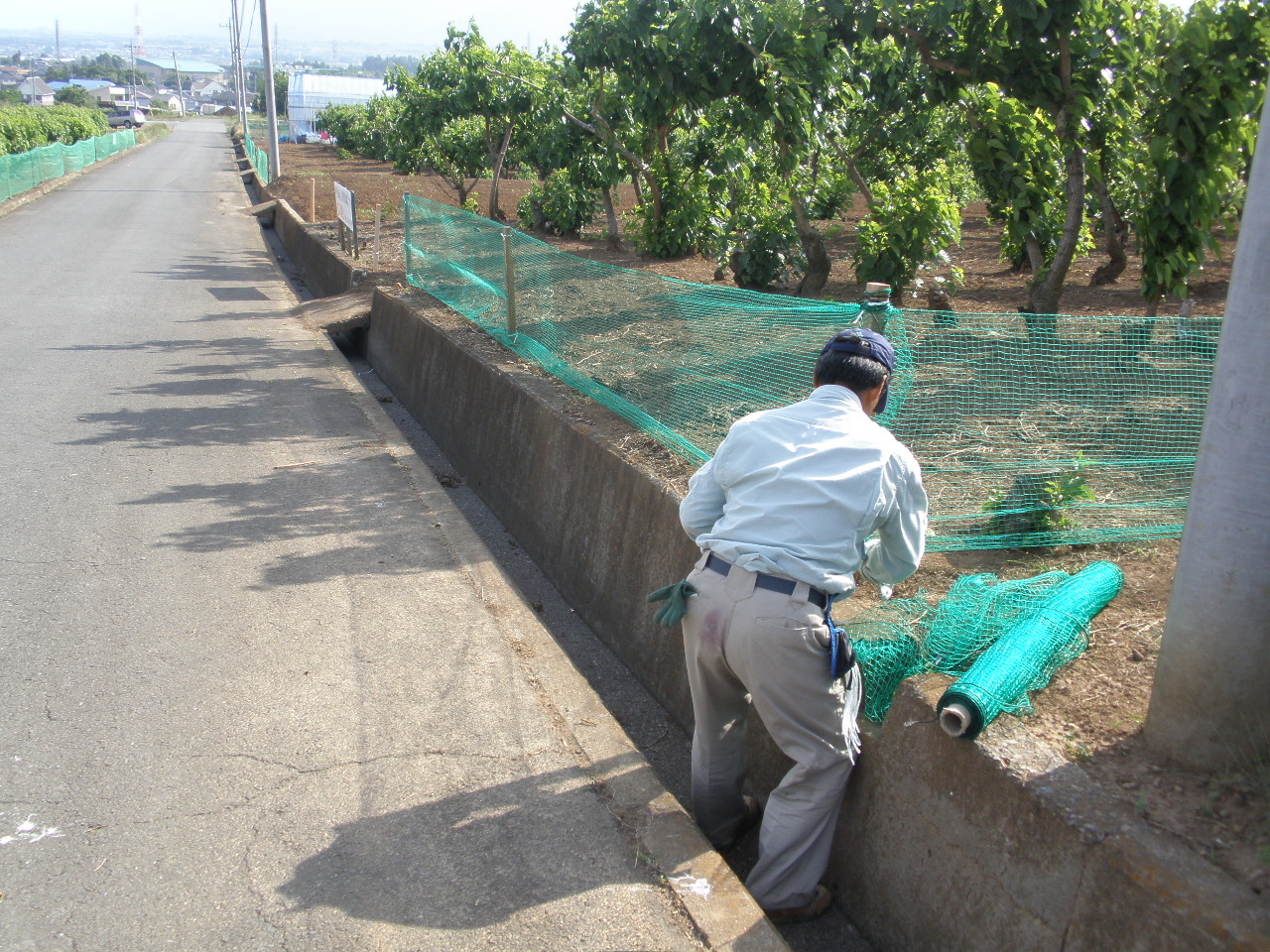 2012/06/04の写真