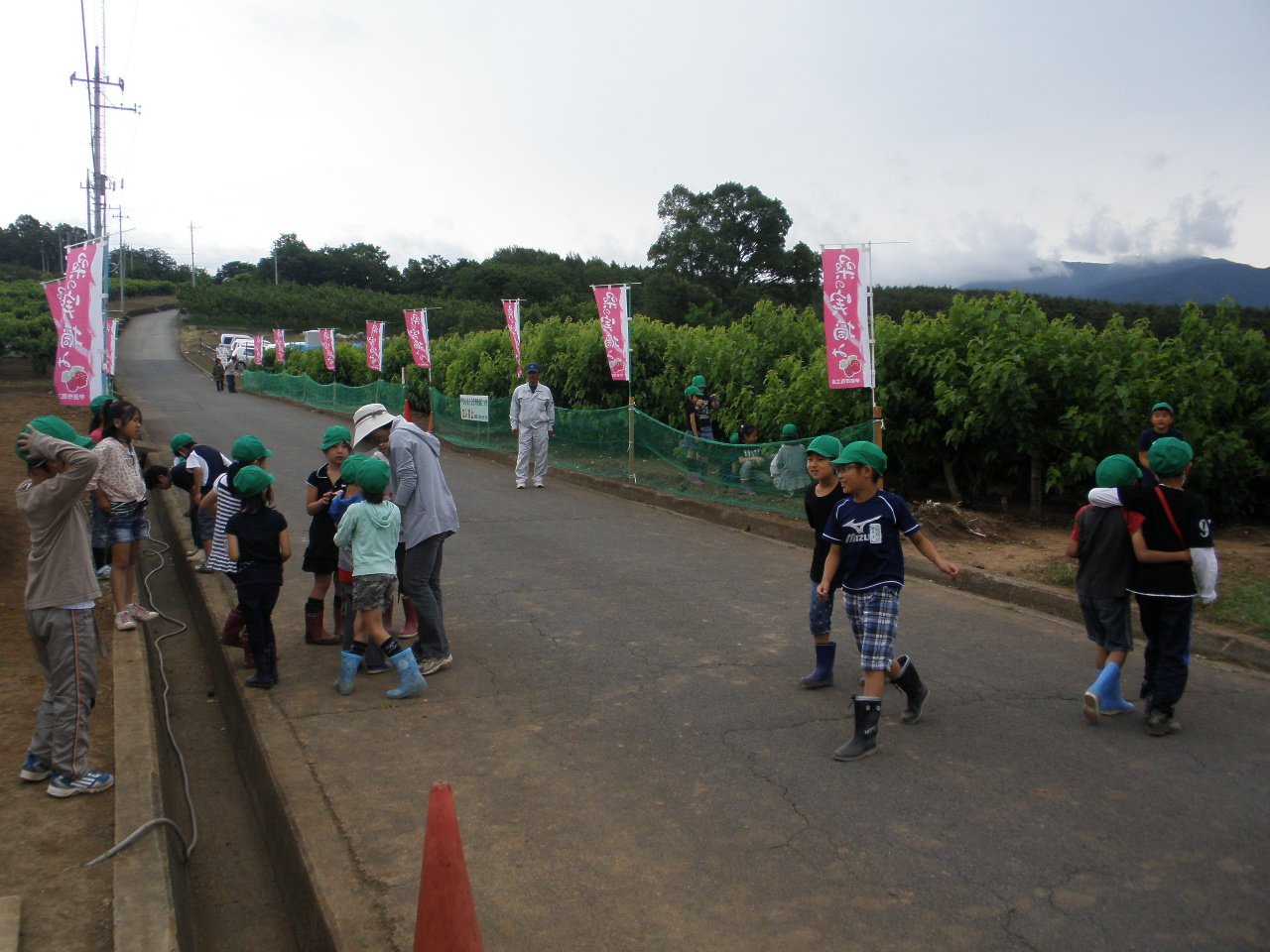 2012/06/12の写真