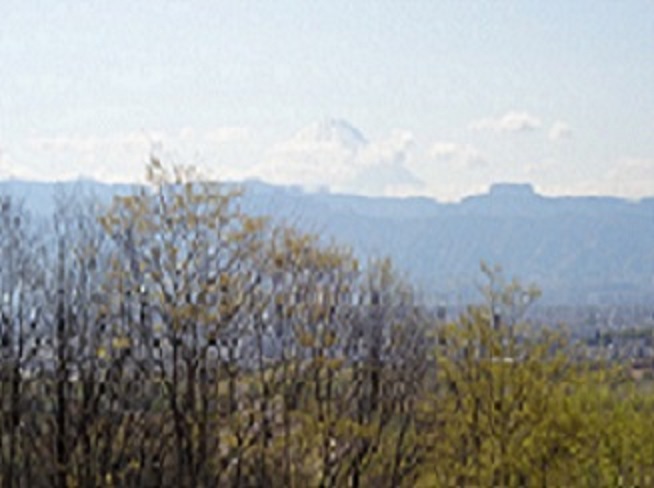 2013/04/12の写真