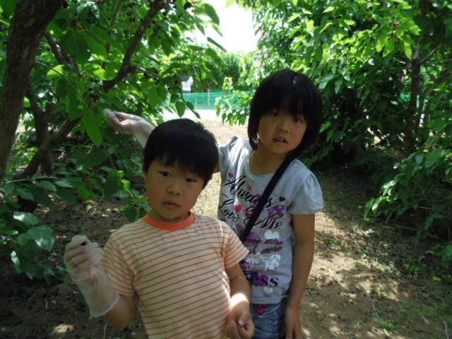 2013/06/02の写真