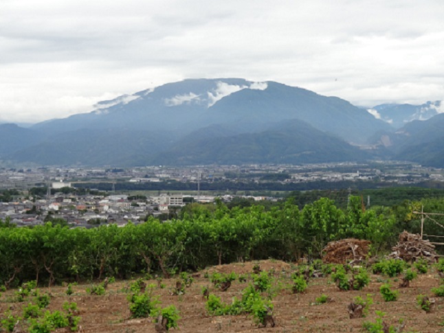 2013/06/13の写真