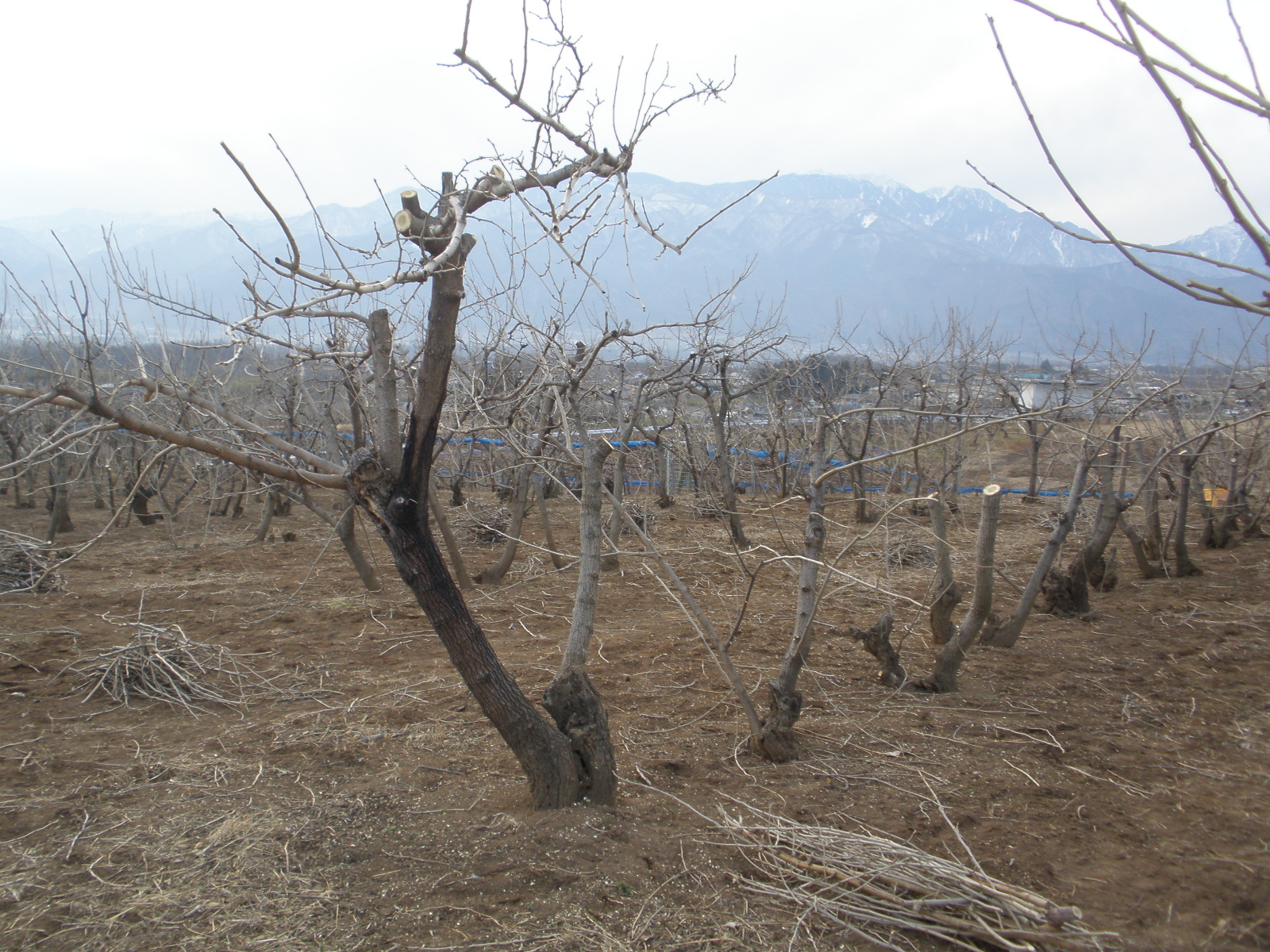 2014/01/14の写真