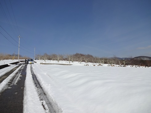 2014/02/10の写真