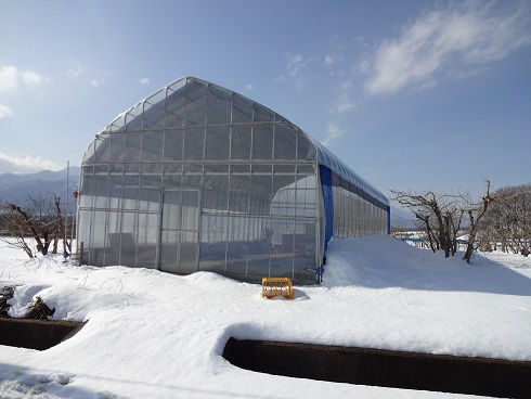 2014/02/10の写真