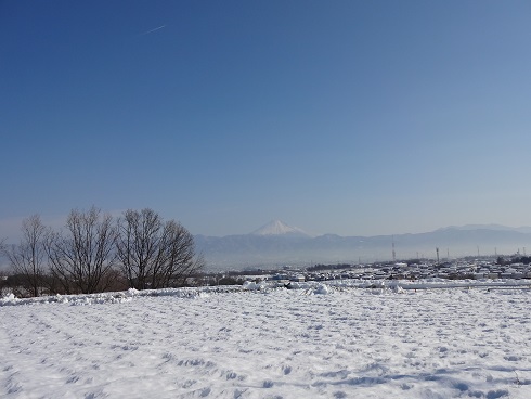 2014/02/17の写真