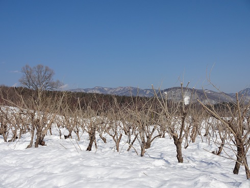 2014/02/17の写真