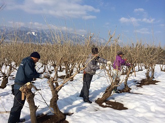 2014/02/25の写真