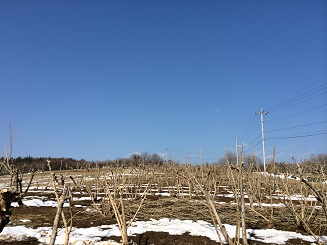 2014/02/25の写真