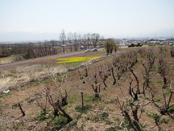 2014/04/08の写真