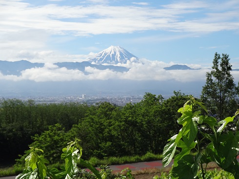 2014.06.08の写真