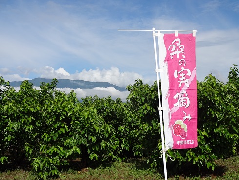 2014/06/08の写真