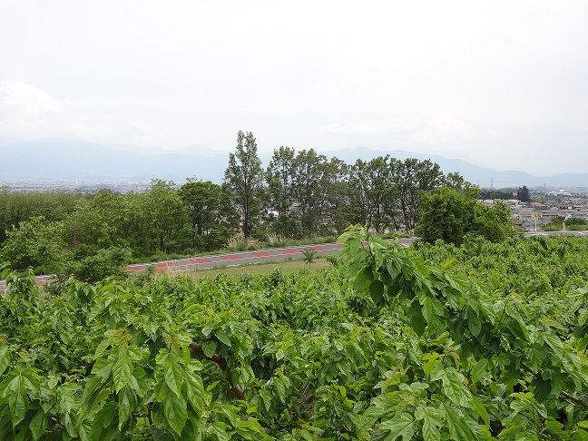 2015/05/07の写真
