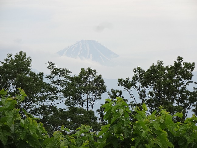 2015/05/18の写真