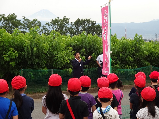 2015/06/05の写真