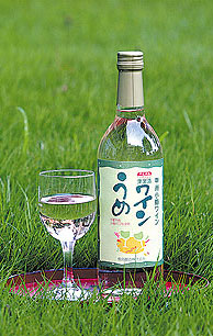 甲州梅ワイン
